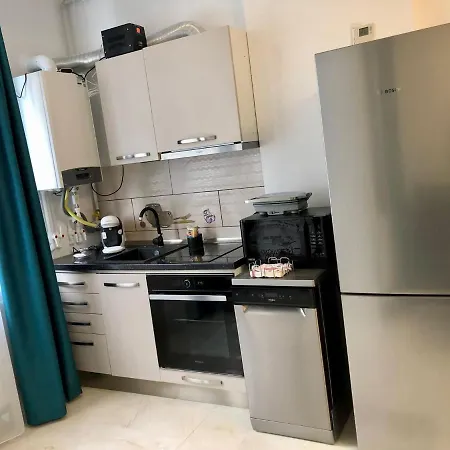 Apartman Studio Miruna *